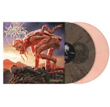 images/productimages/small/cattle-decapitation-terrasite-coloured-2lp-pupa-to-a-nymph.jpg