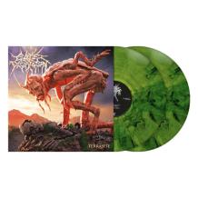 images/productimages/small/cattle-decapitation-terrasite-grass-green-smoke-vinyl.jpg