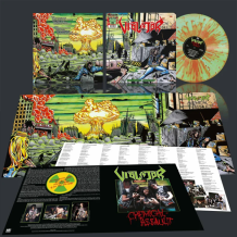 images/productimages/small/violator-chemical-assault-lp-splatter-2.png